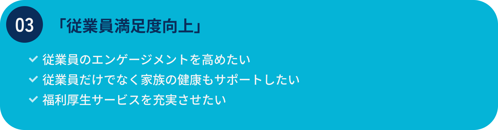 従業員満足度向上/従業員のエンゲージメントを
                                高めたい/従業員だけでなく家族の健康もサポートしたい/福利厚生サービスを充実させたい